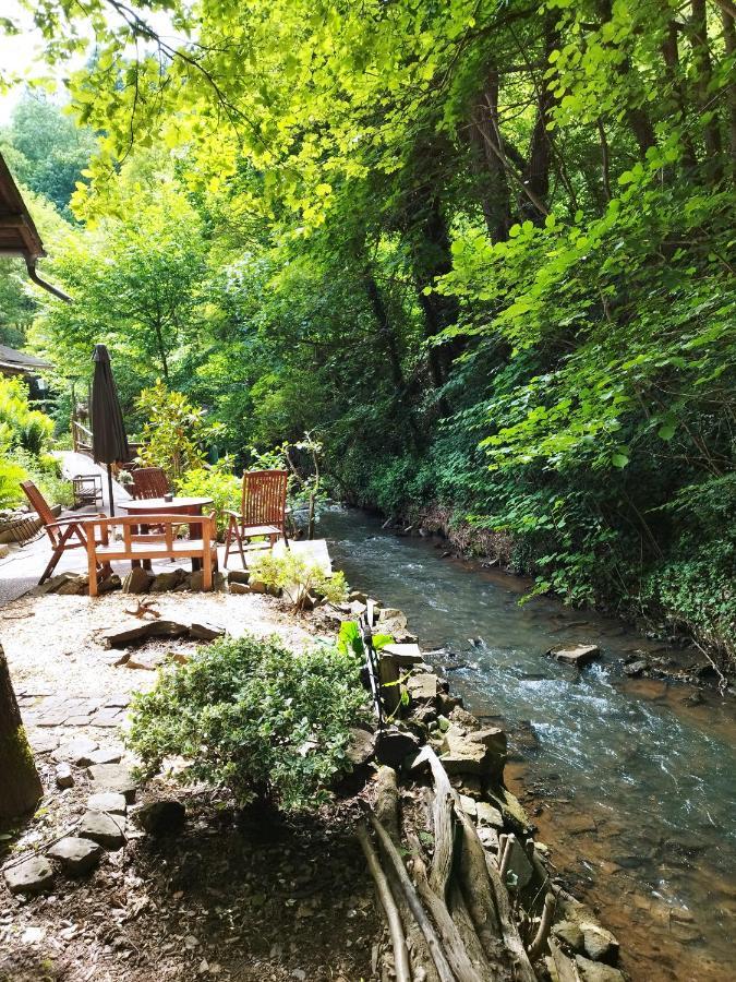 Schmoekermuehle Bed & Breakfast Andernach Exterior photo